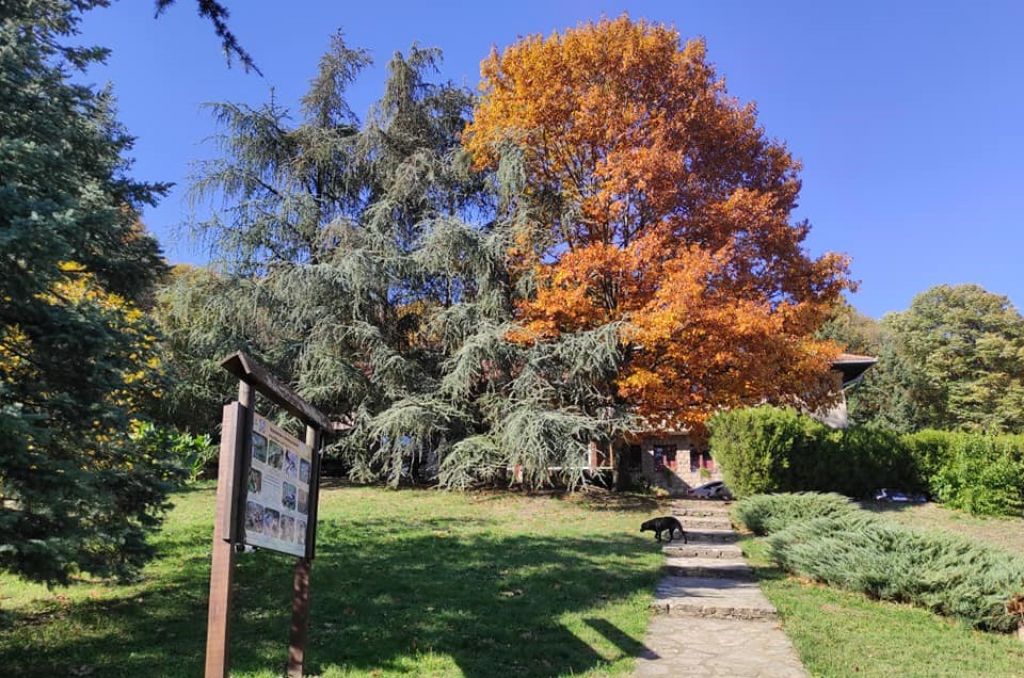 Panoramski pogled sa Avale