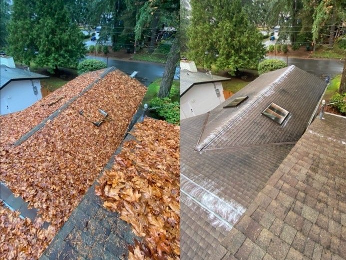 Professional roof blowoff service by Nicholson's Cleaning