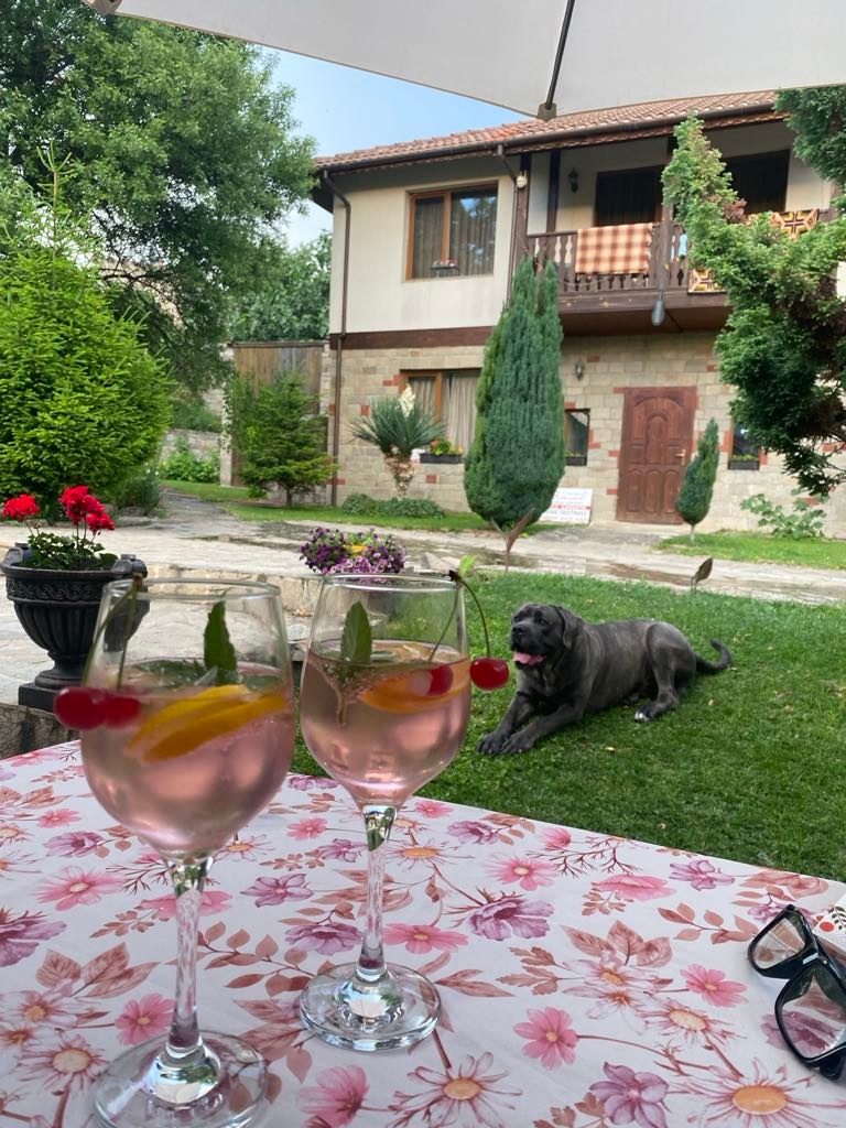 Kiossev Wine Guest House - authentic Bulgarian accommodation and hospitality