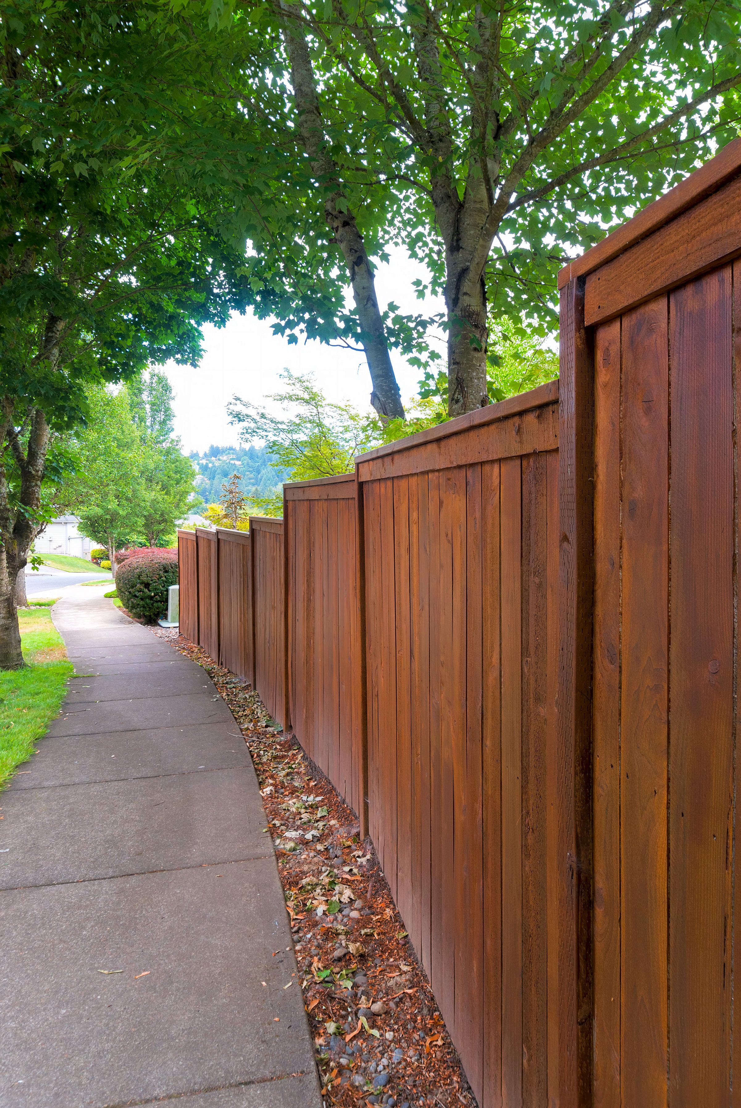 Professional fence staining