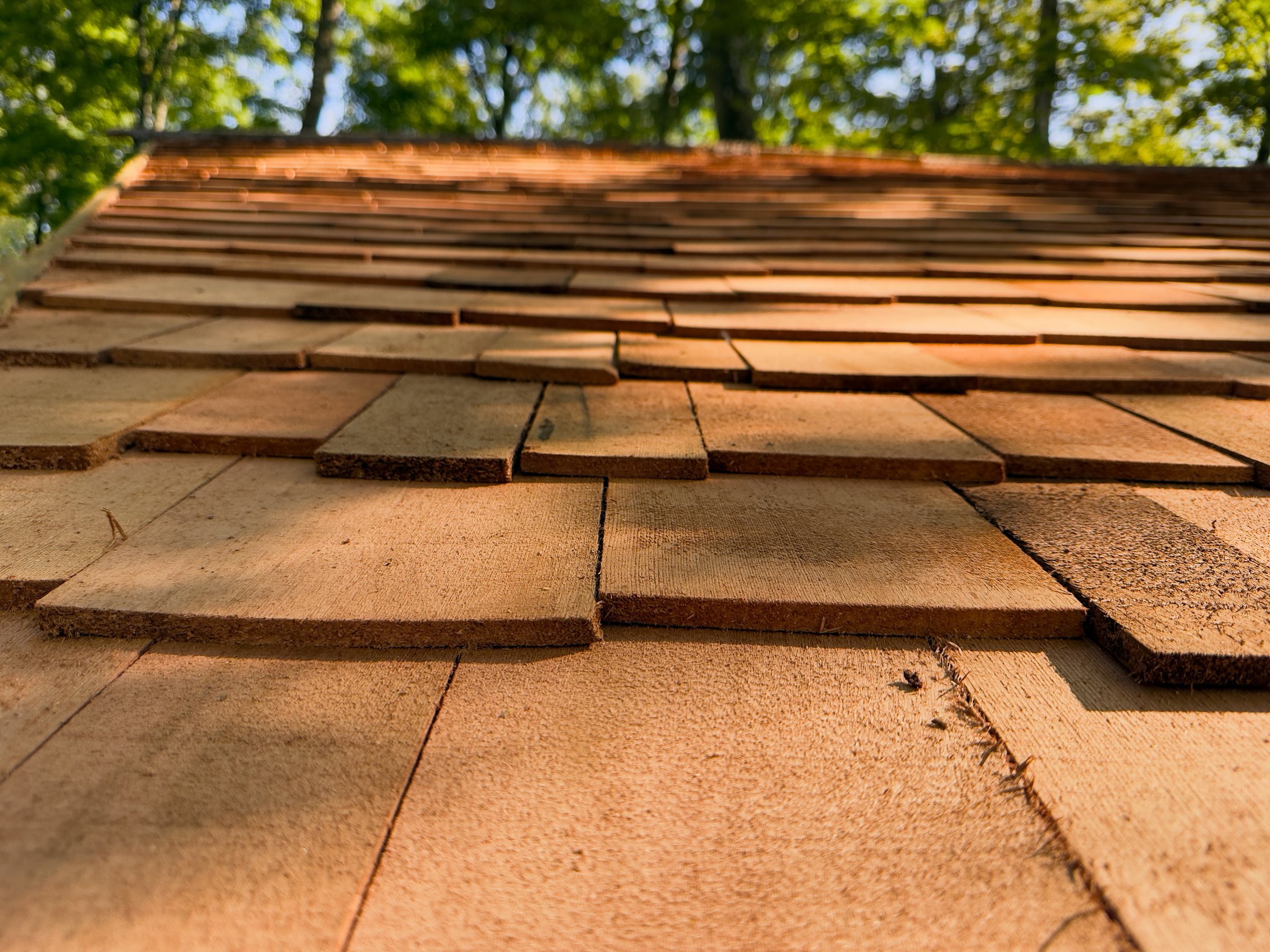 Textured wooden roof with overlapping cedar shingles in a forest setting