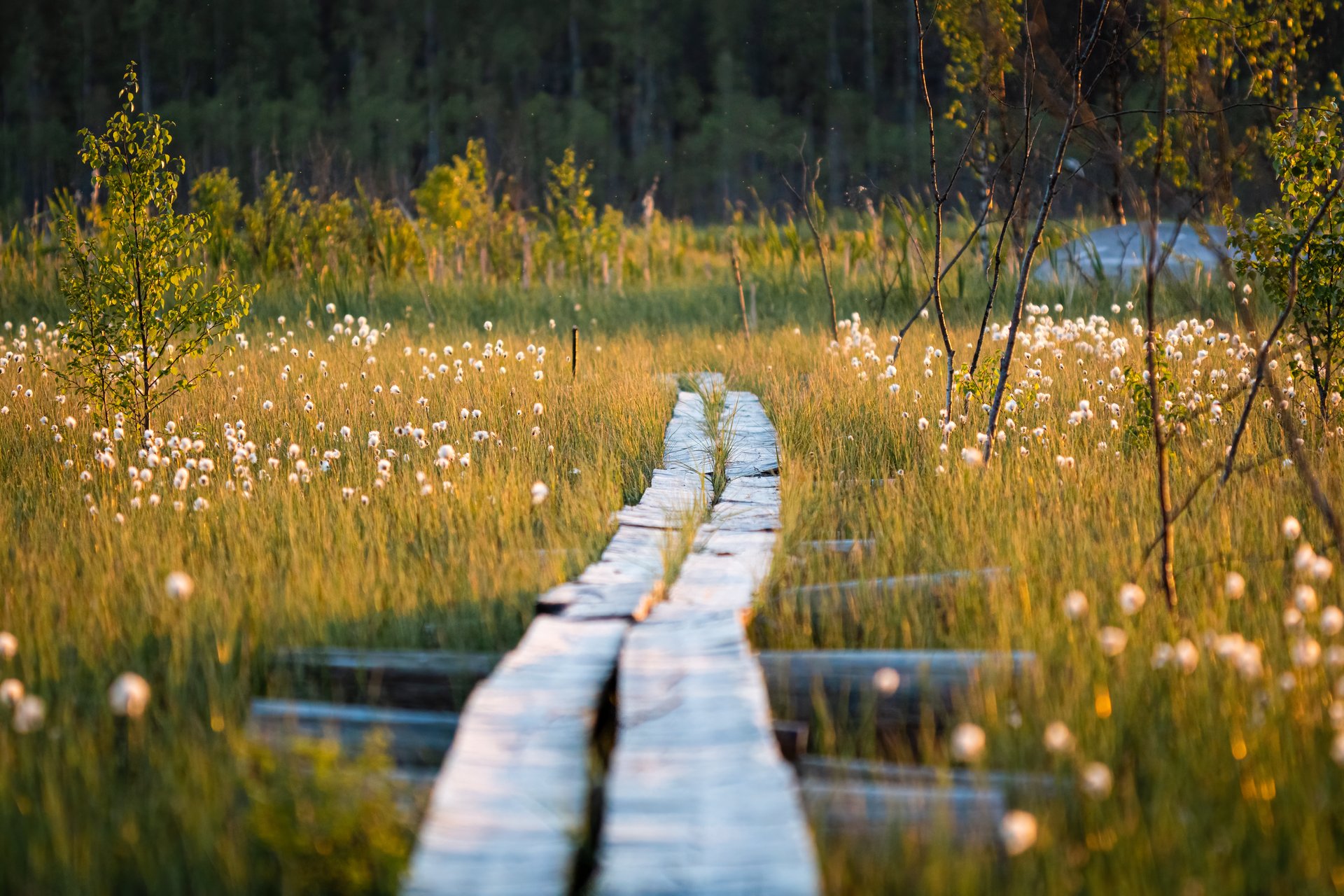 Photo taken in Pedersöre, Finland