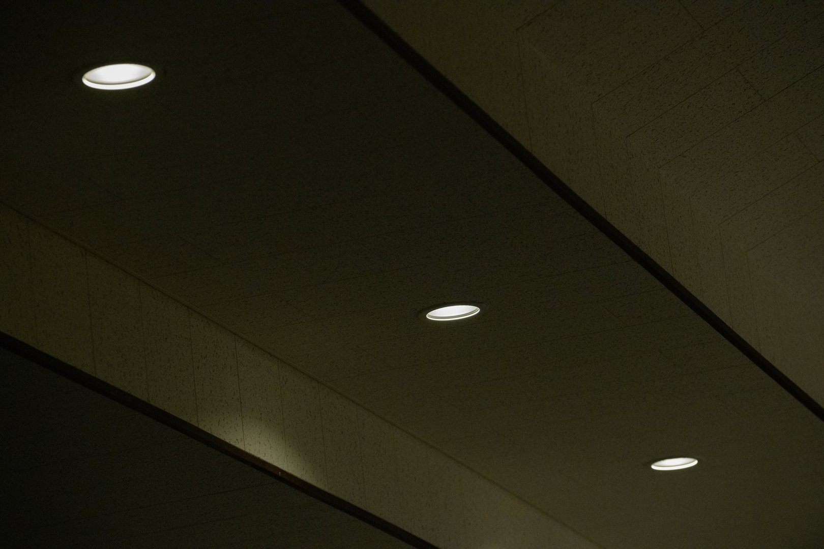 Downlights recessed into the ceiling of the hall