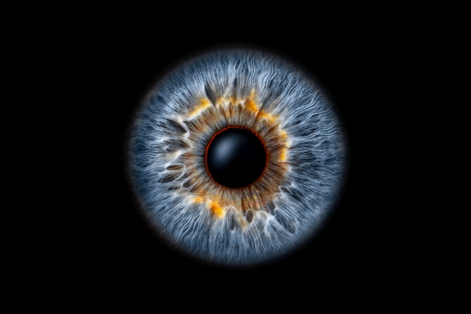 Close-up of human eye iris on black background, macro photography