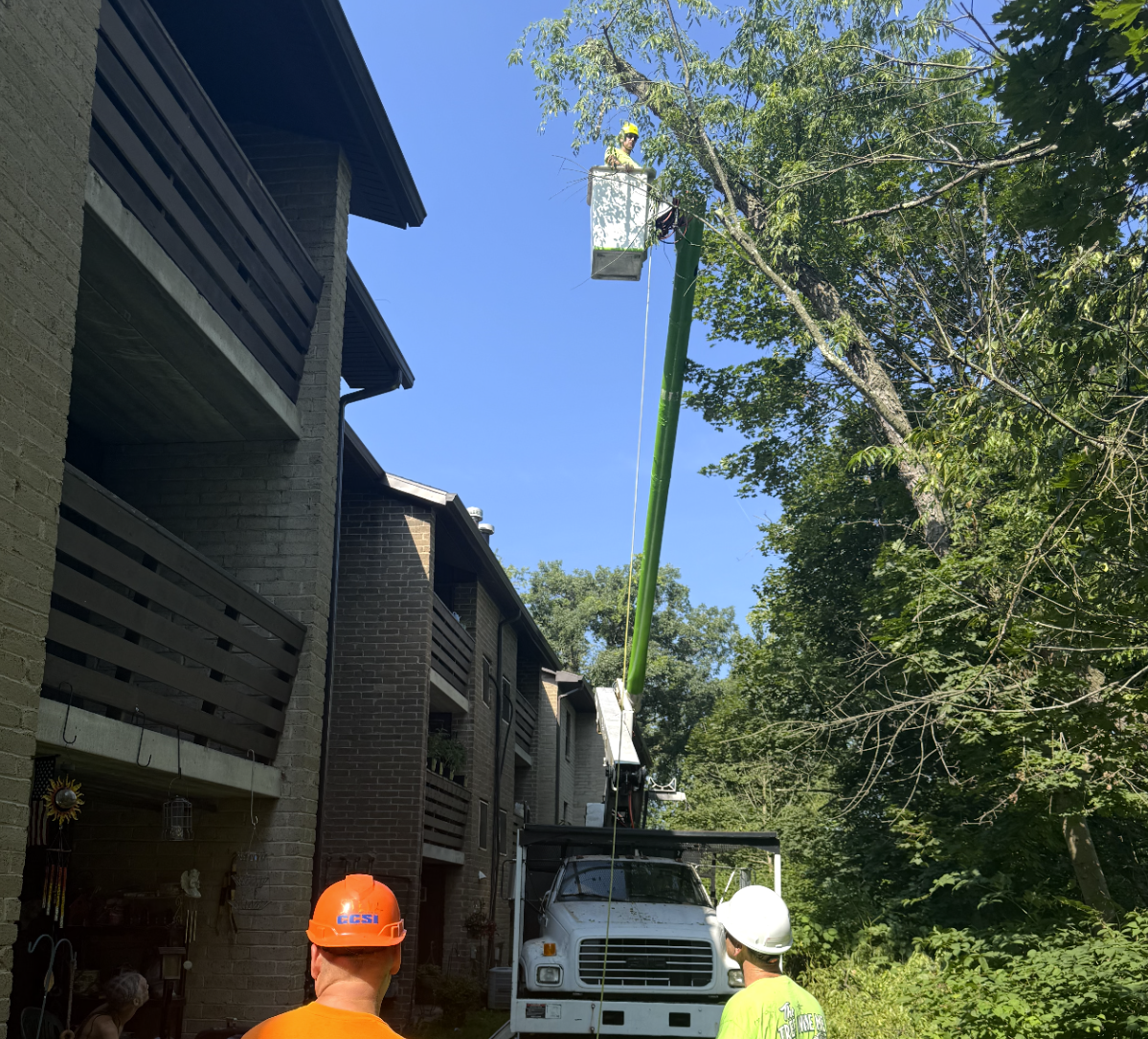 Tree Trimming Project