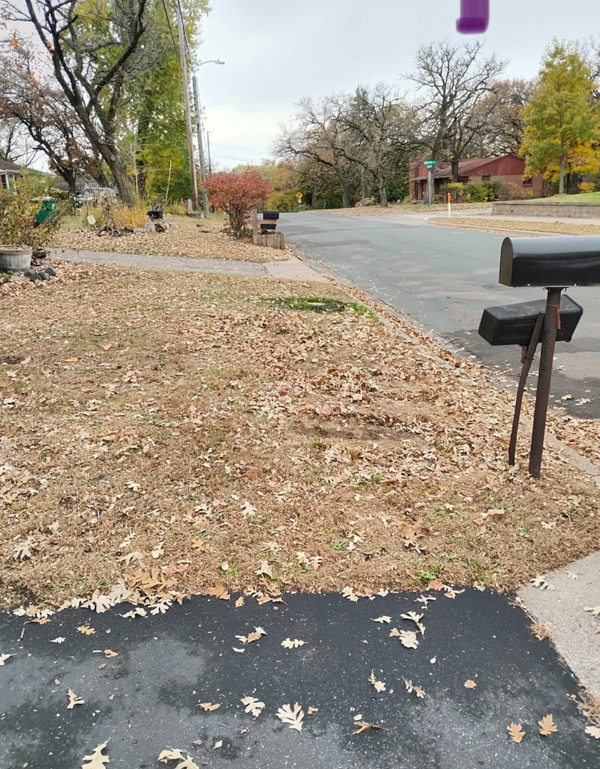 Professional junk removal