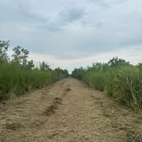 Completed land clearing project