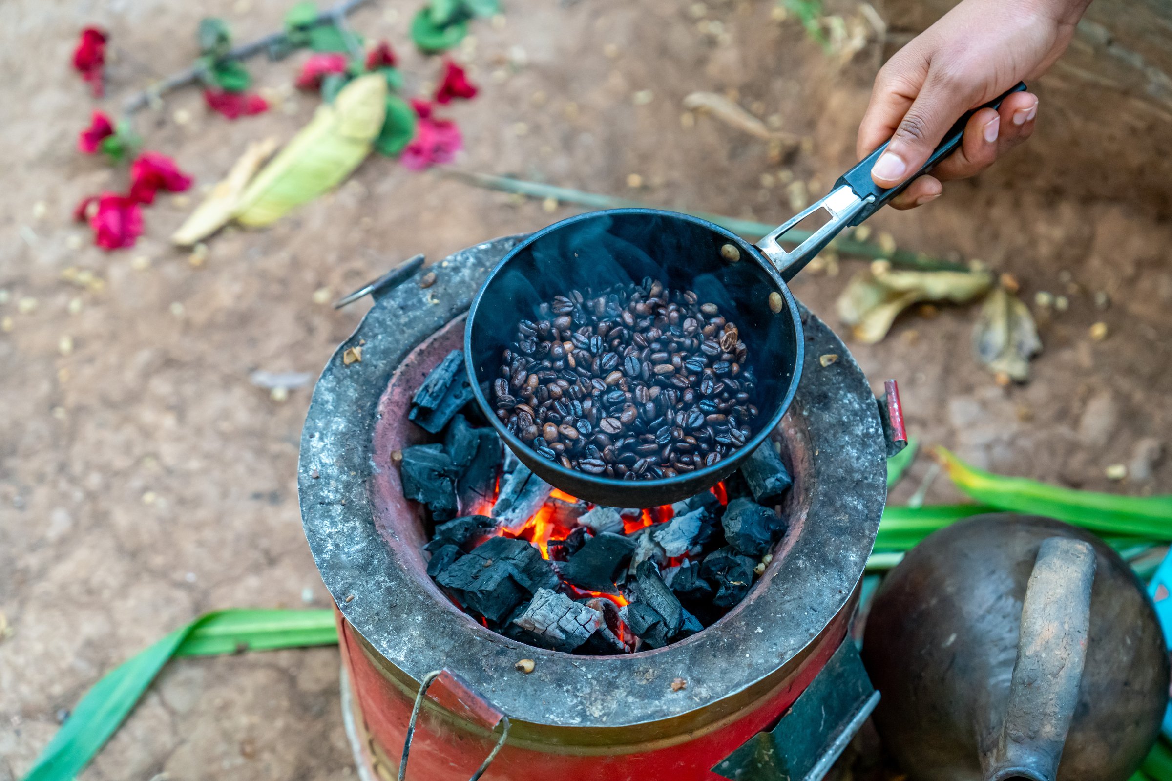 fresh coffee beans are rosted in a pan in the area of Sidama.
