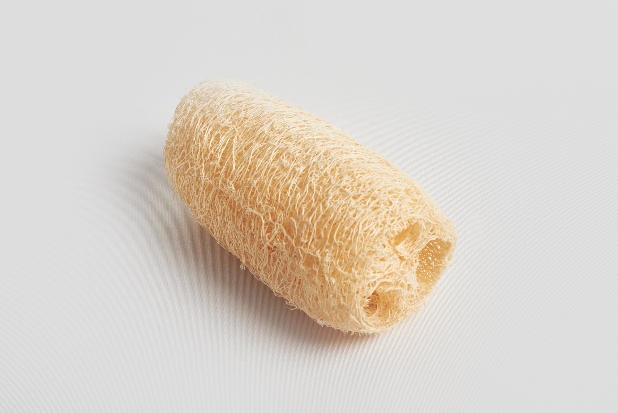 Close-up of a cylindrical, dried loofah sponge on a plain white background, promoting natural bath and body care