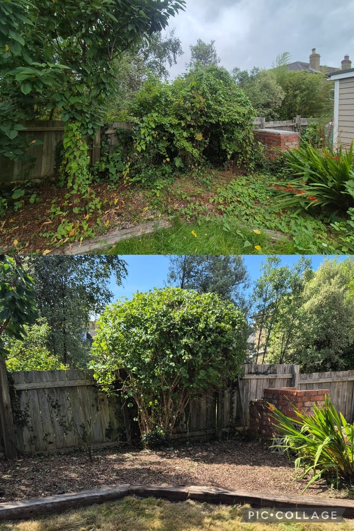 Garden project 5