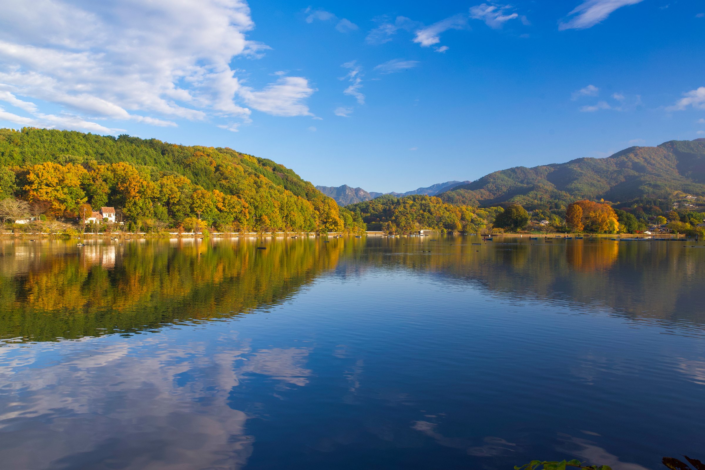 Autumn leaves at Lake Chiyoda