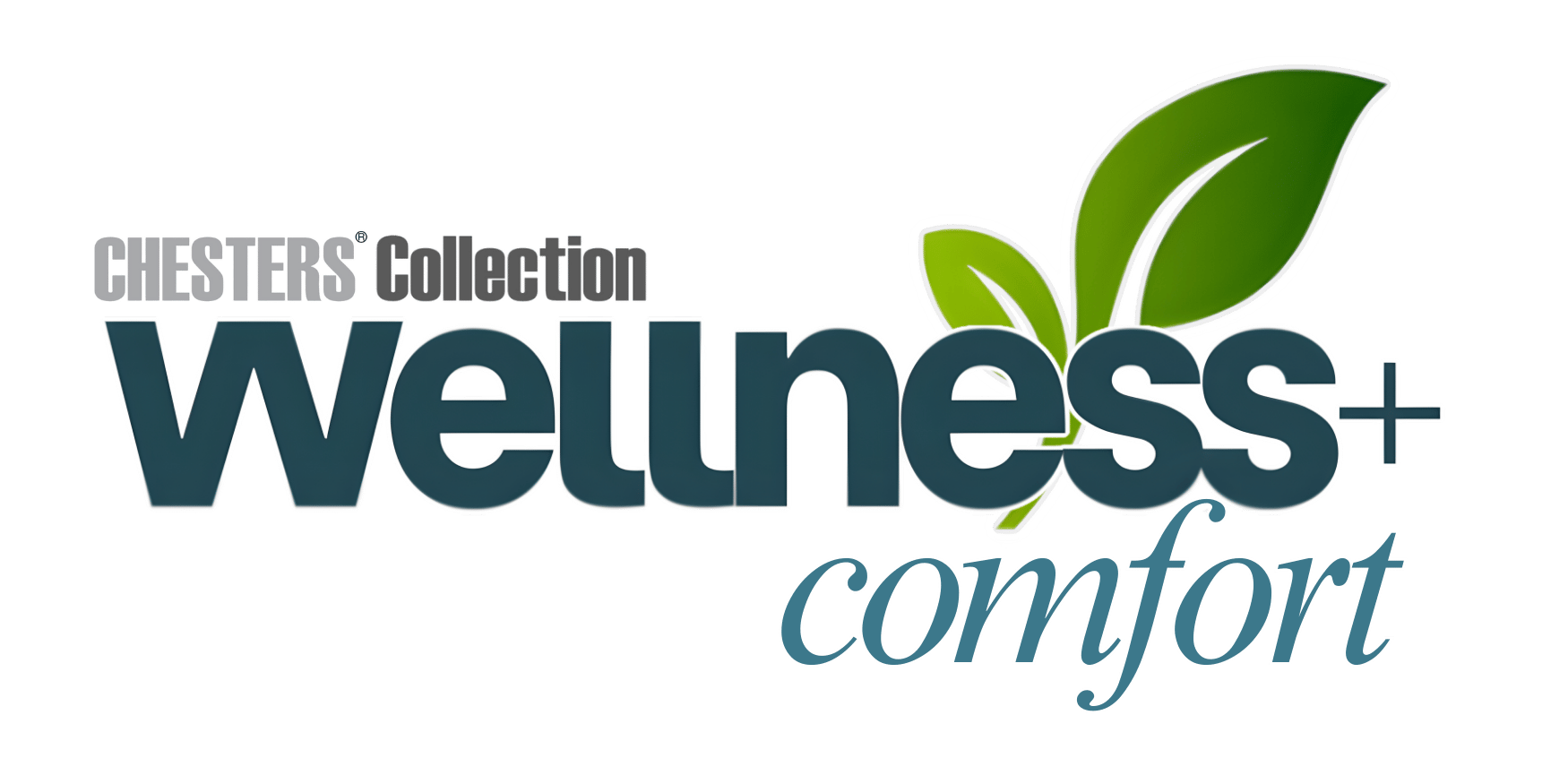 Wellness+ Comfort Logo