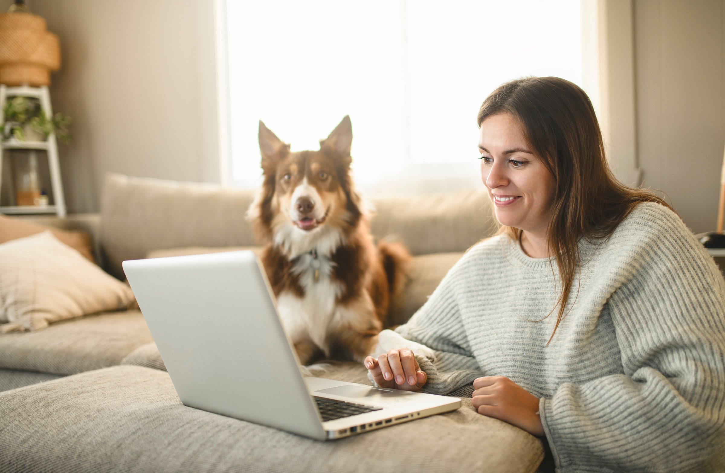 A woman with cute fluffy Australian Shepherd dog at home using laptop computer in living room