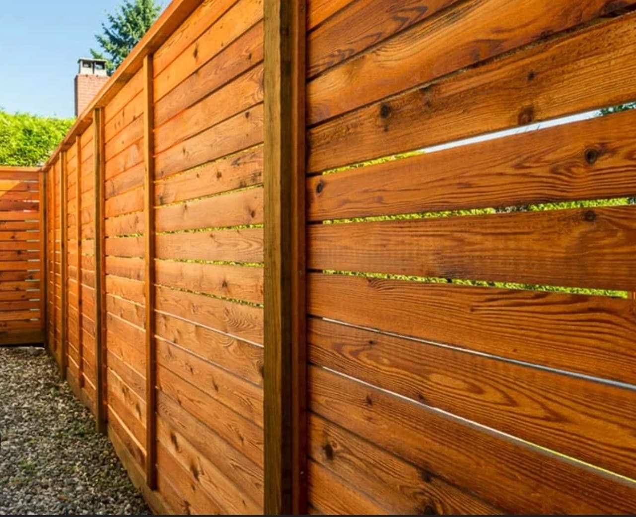 Cedar fencing