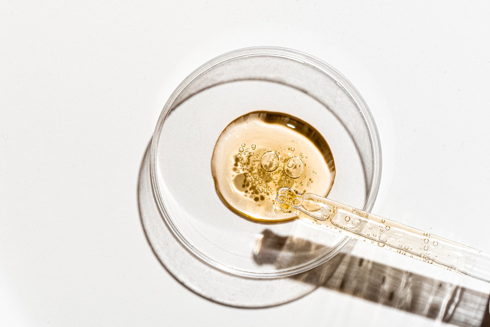 Retinol face serum sample in petri dish close up on white background. Face oil pipette dropper. Beauty facial cosmetic product texture, skin care research.