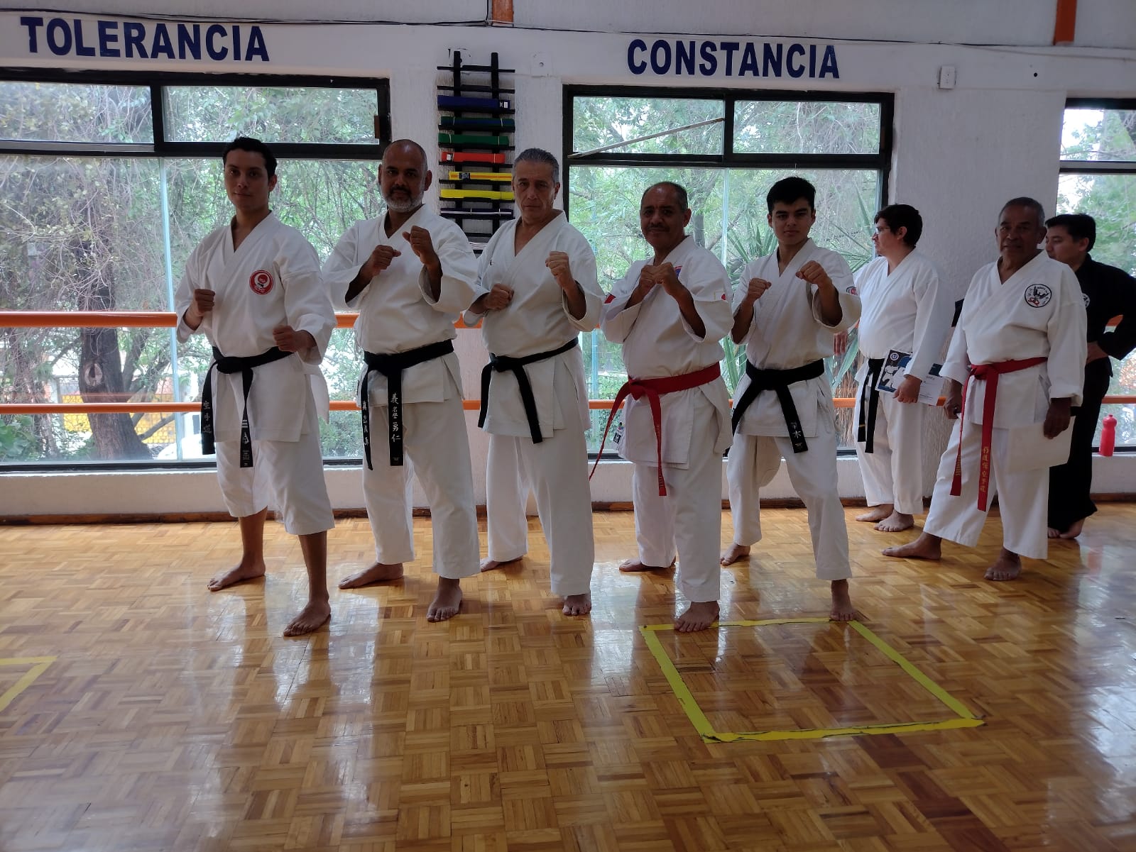 Dojo Image 2