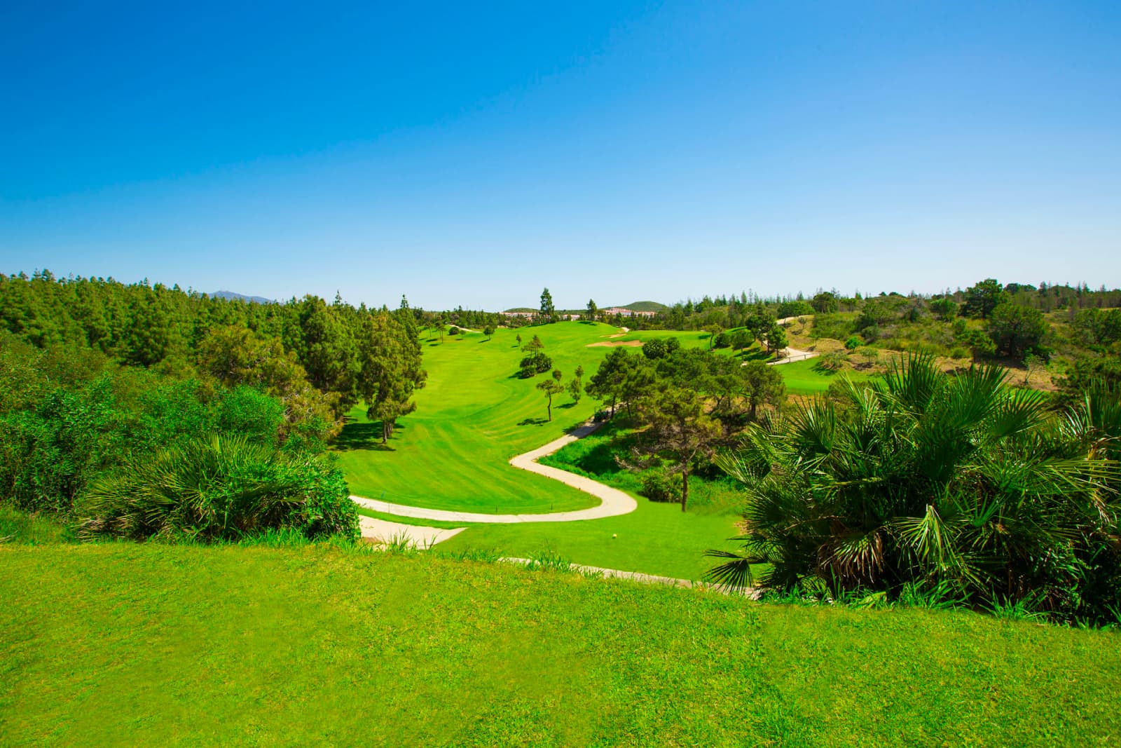 Chaparral Golf Club Natural Beauty