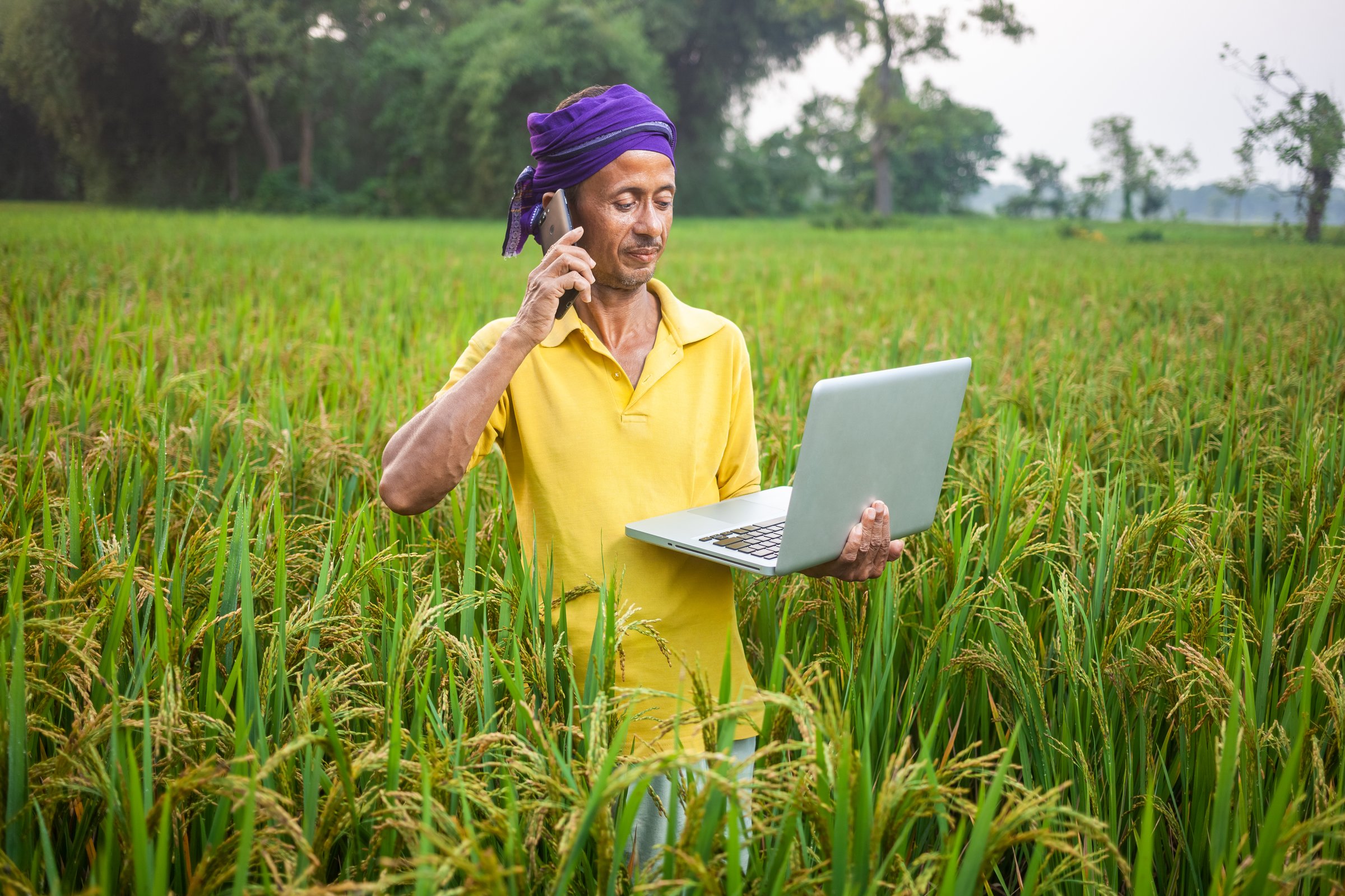 talking, using wireless technology, mobile, laptop, india, rural, paddy farming, cultivation,