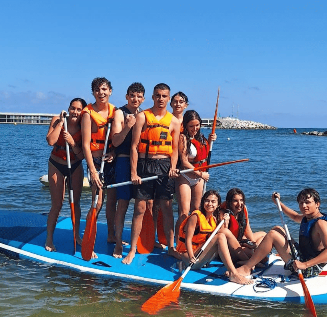 GoStudyIreland programmes