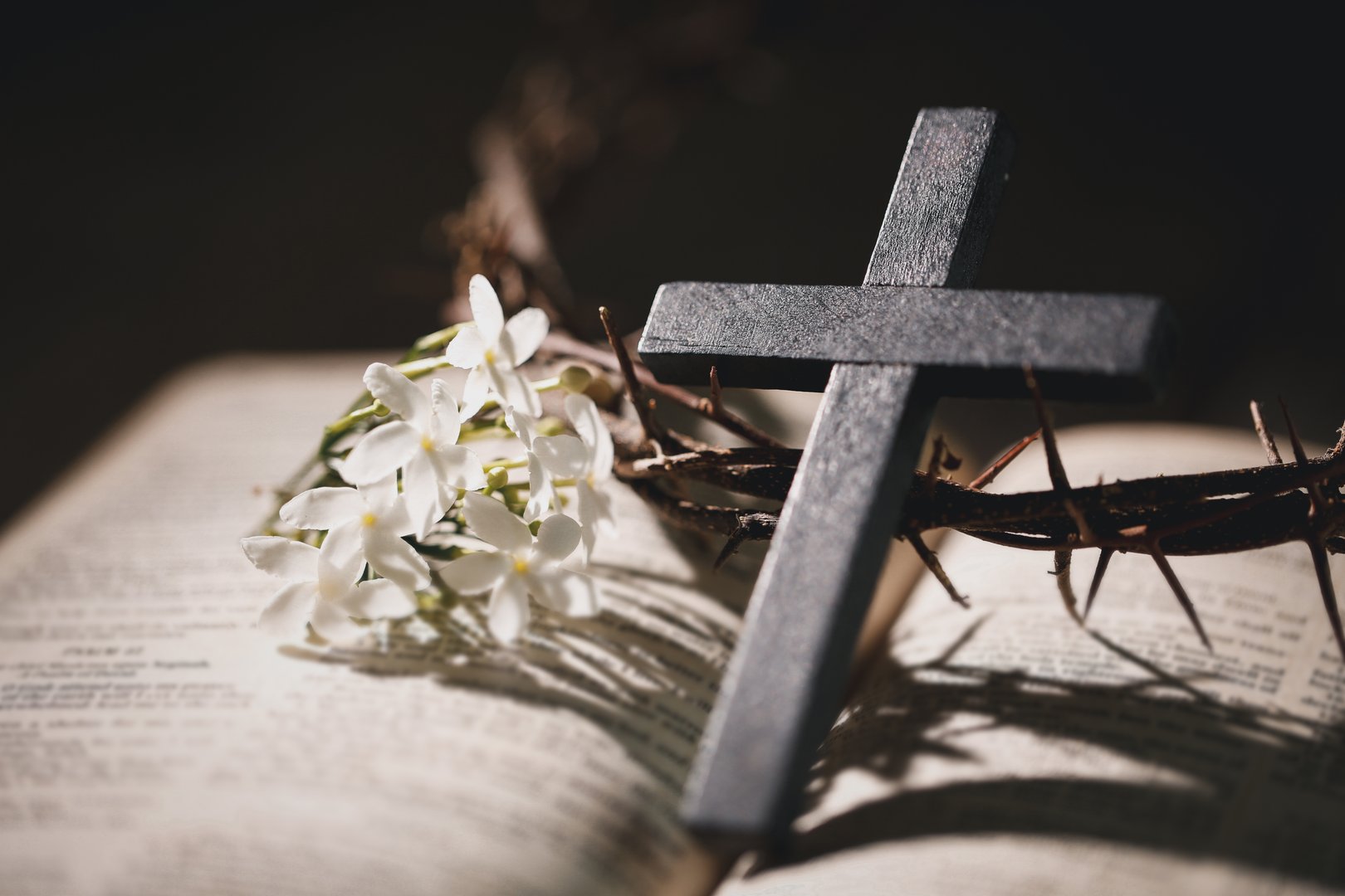Closeup of Jesus Christ wearing crown of thorns during His crucifixion captures the suffering, sacrifice, and deep spirituality that define Easter and the core of Christian faith and religion.