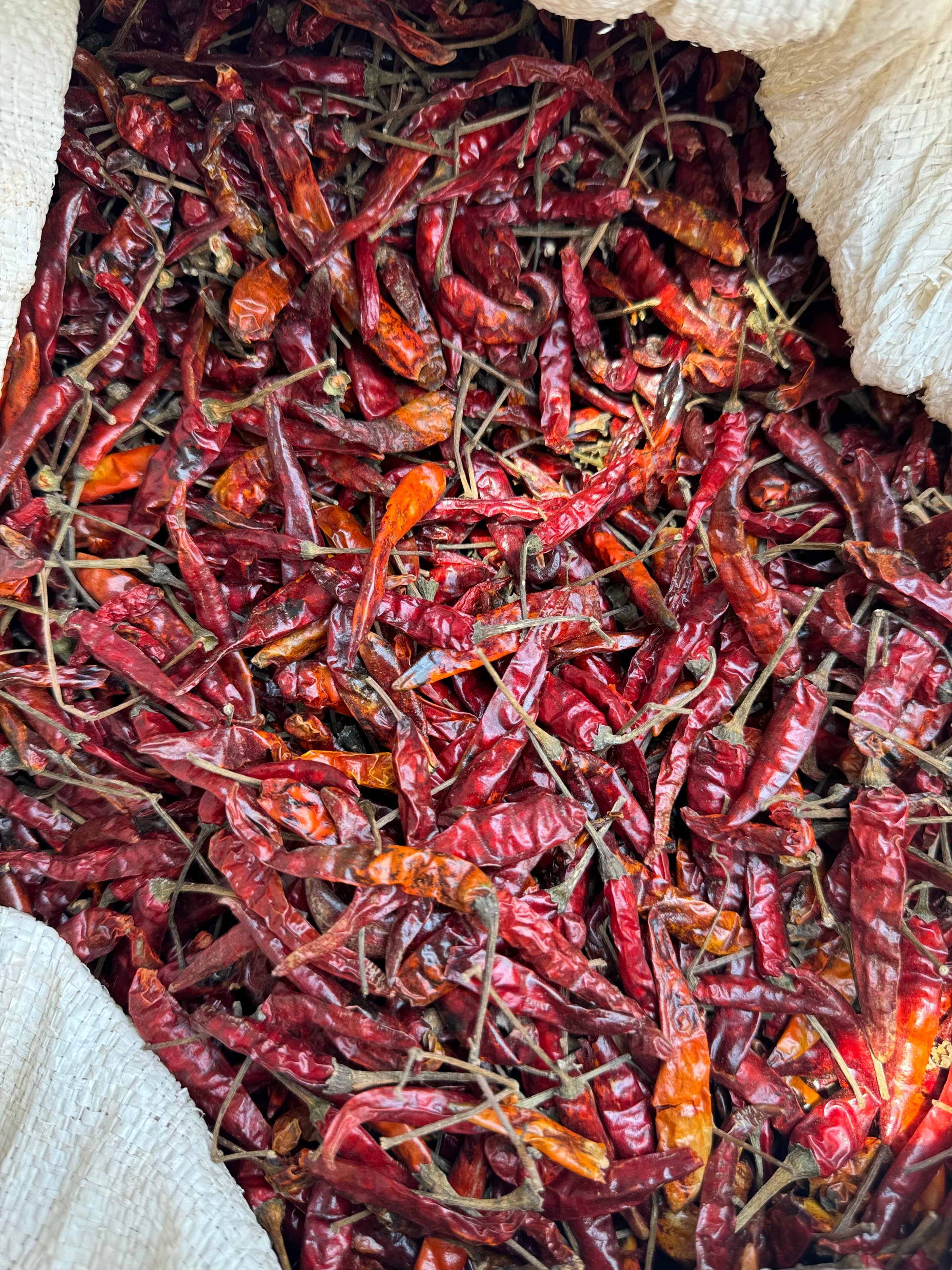 Fresh red chili peppers from Uganda
