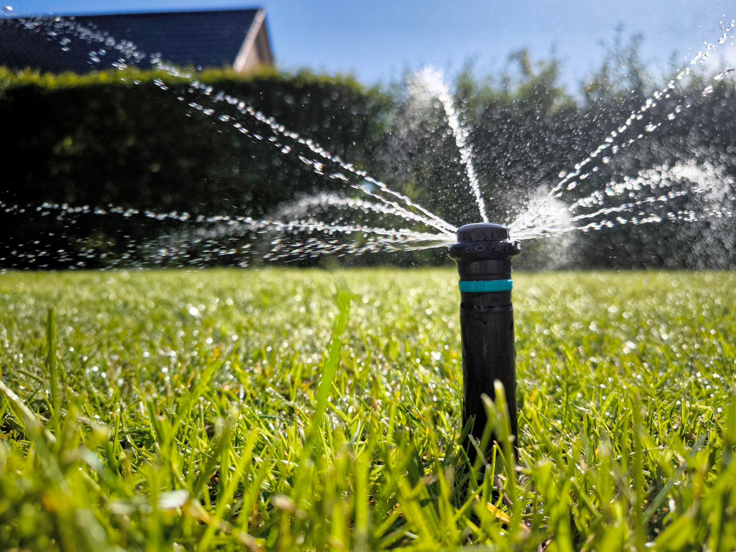 An irrigation sprinkler watering a beautiful, green lawn under a clear sky, creating a natural landscape with lush vegetation and grassland