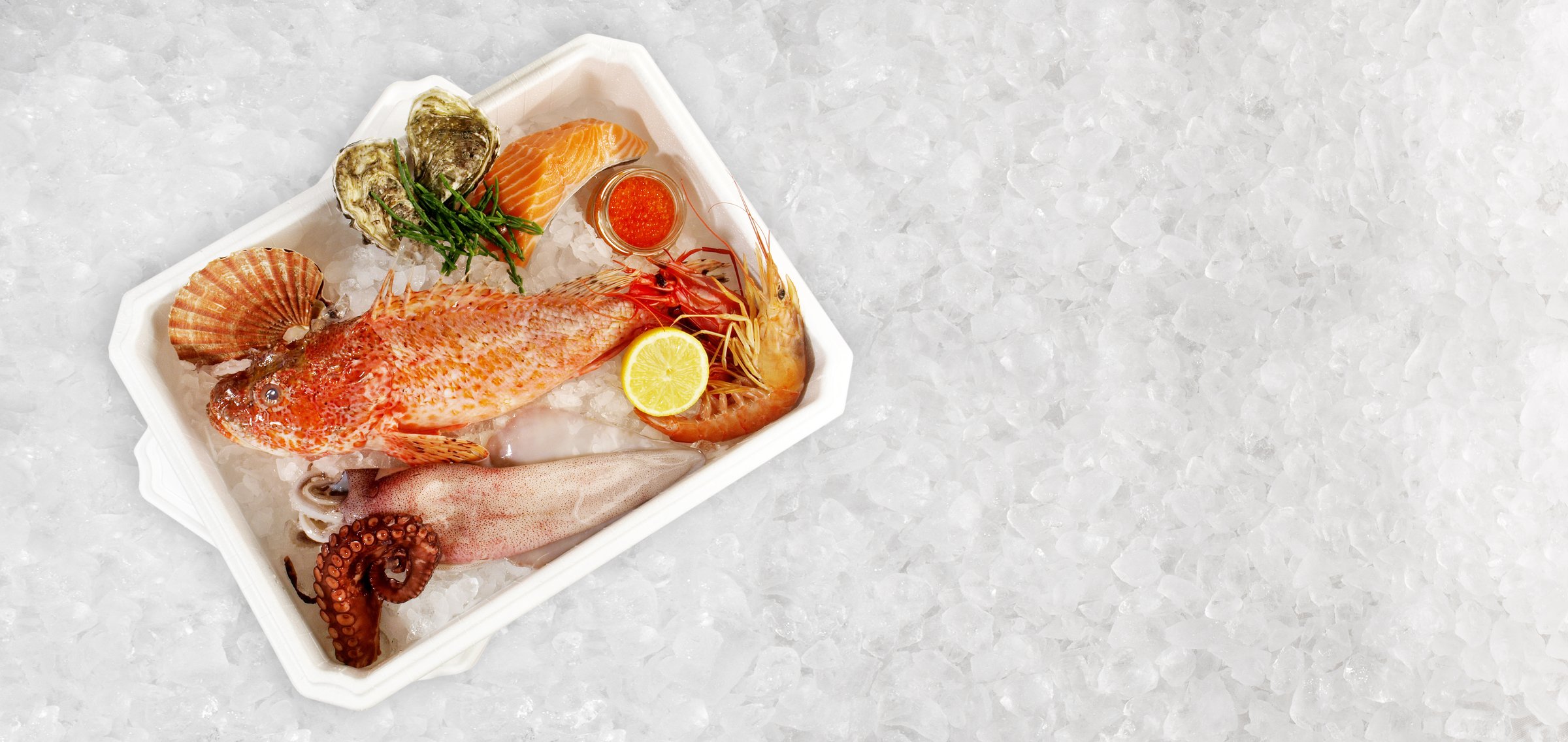 Fish and Seafood - Polystyrene Transportation Box with Fish and Sea Food on Ice. Sea Weed, Caviar, Mussels, Oysters and Scallop on white Background -  Banner