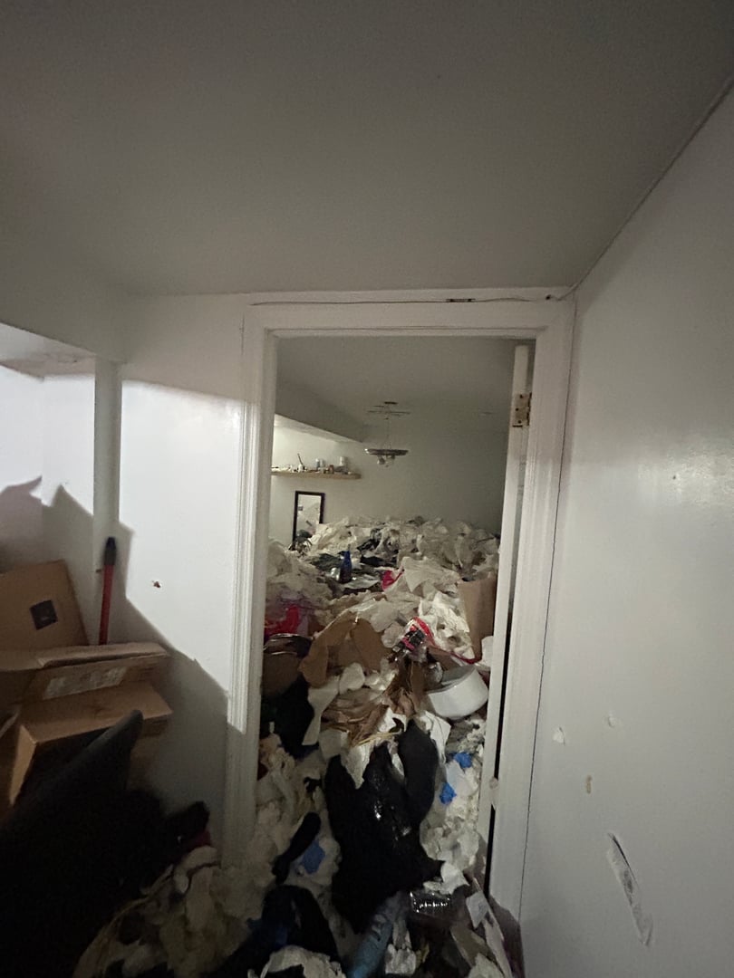 Completed junk removal project