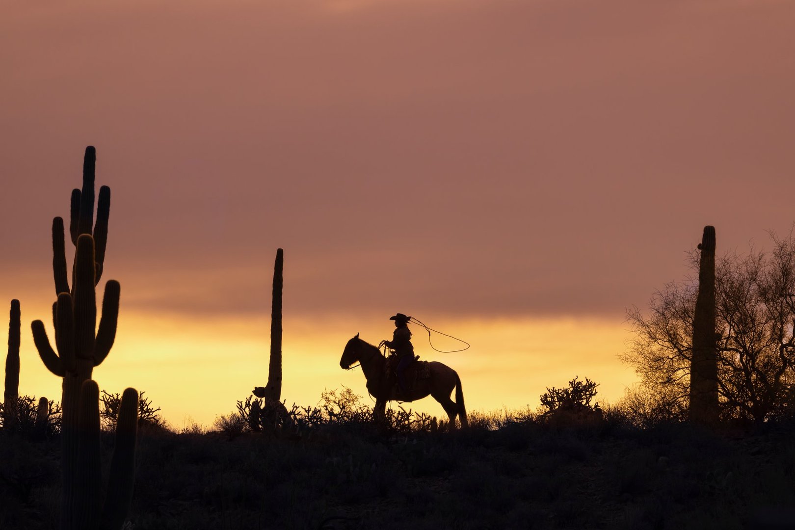 Raquel Cowgirl no palco