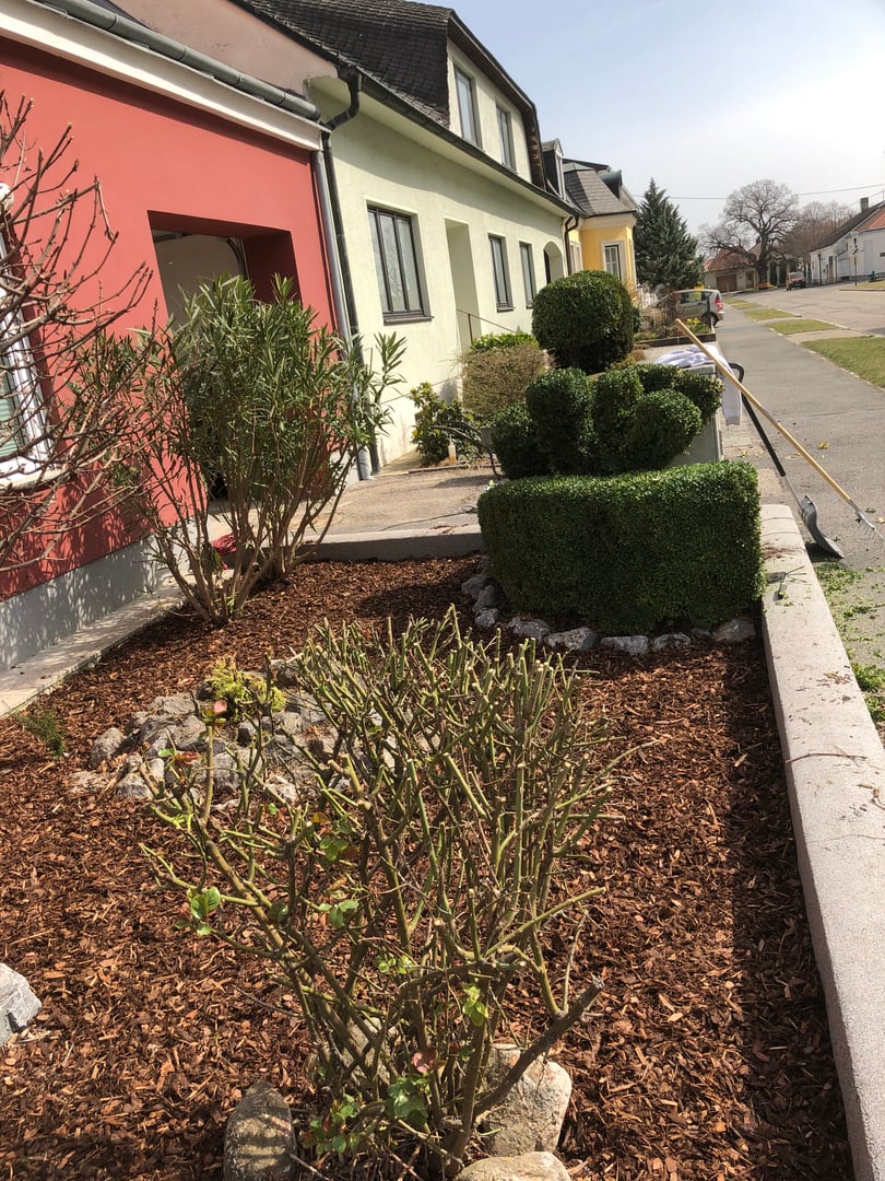 General Gardening Work Detail 2