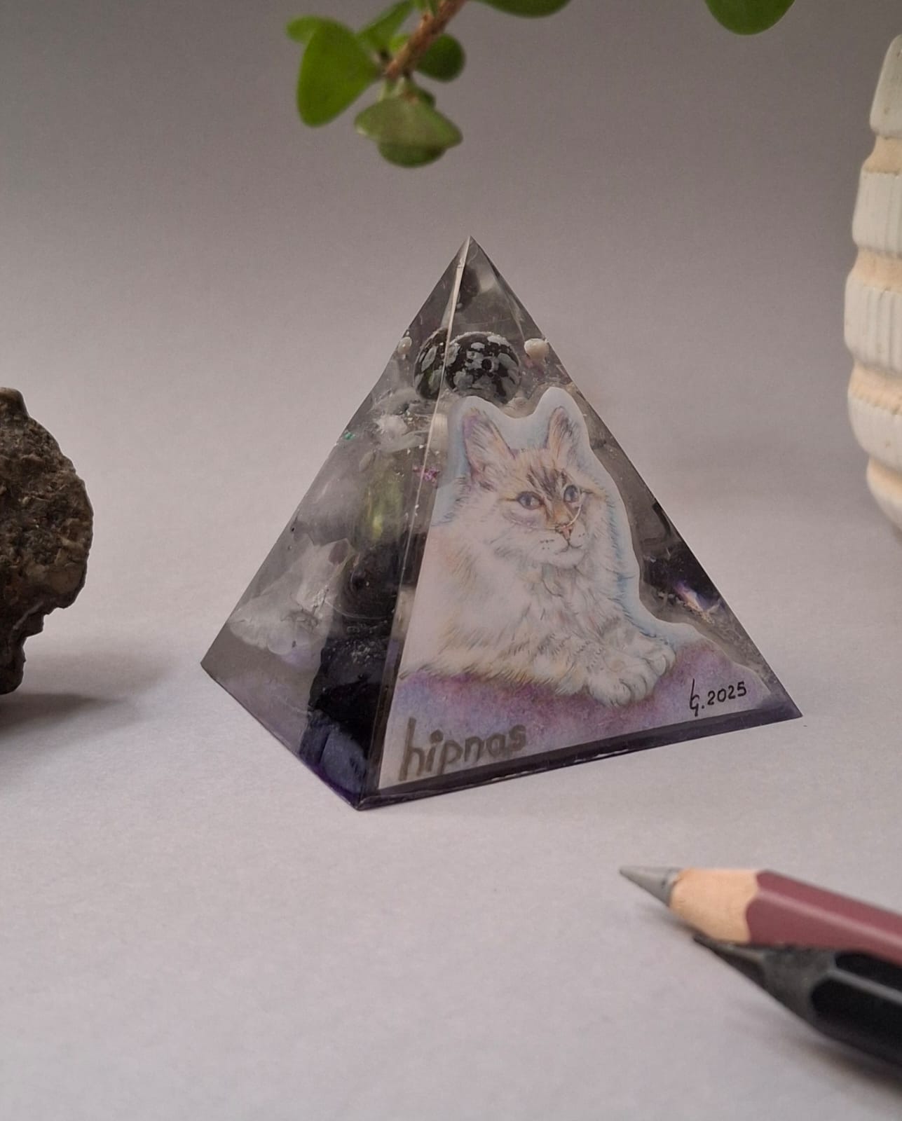 Buffs match con mascotas