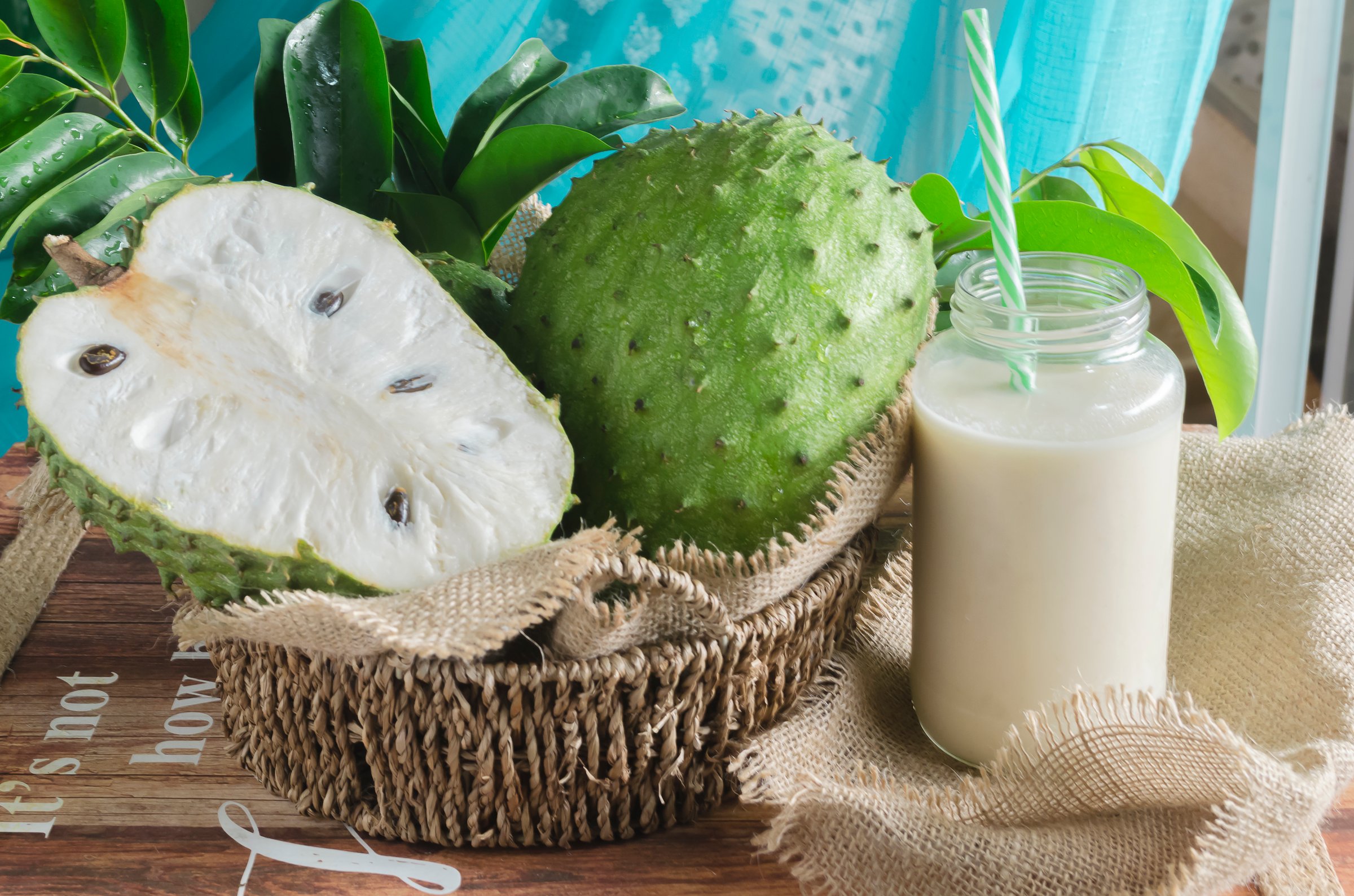 Annona muricata, soursop3 among many other names, is a tree of the Annonaceae family, cultivated in many tropical countries for its edible fruits.   The guánabana is a fruit