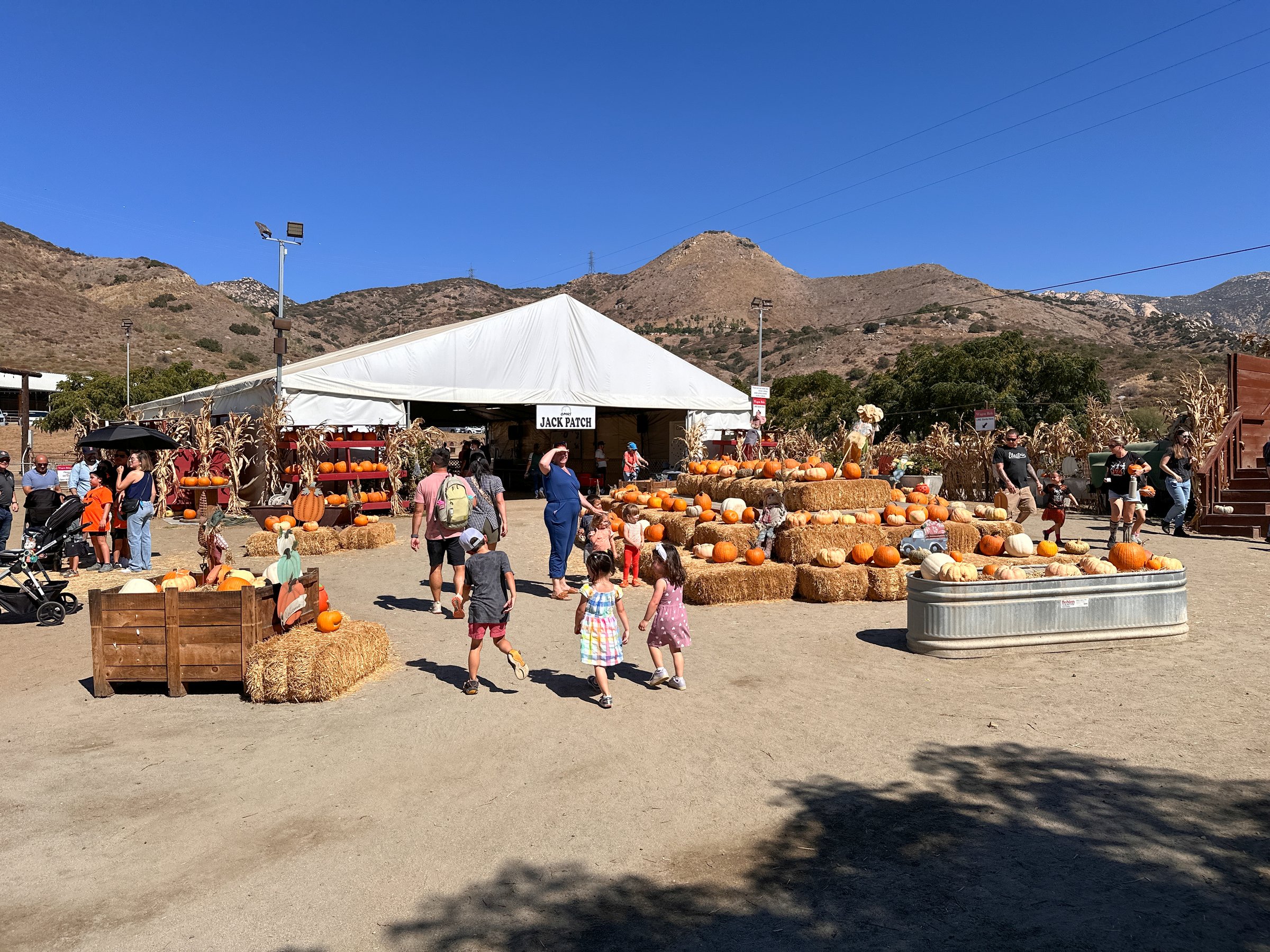 Seasonal adventures pumpkin patch festival. Food stand and rides for families, San Diego, California, USA. October 12th, 2024
