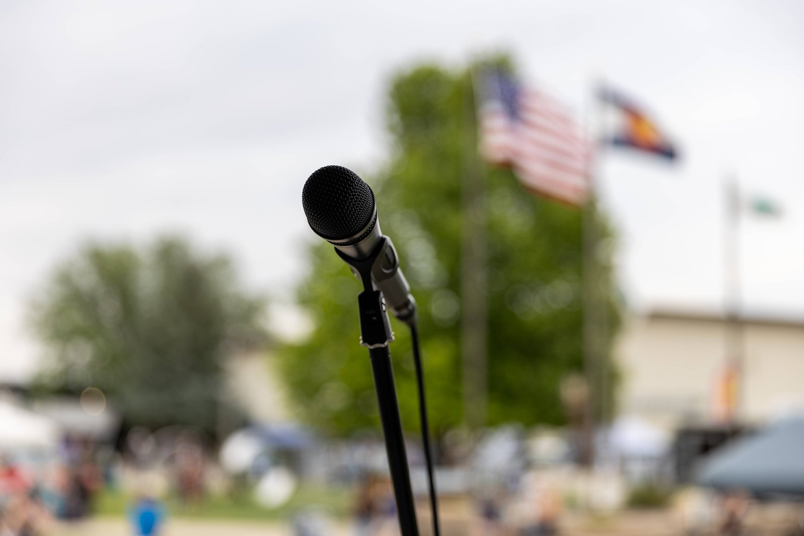 Professional microphone setup