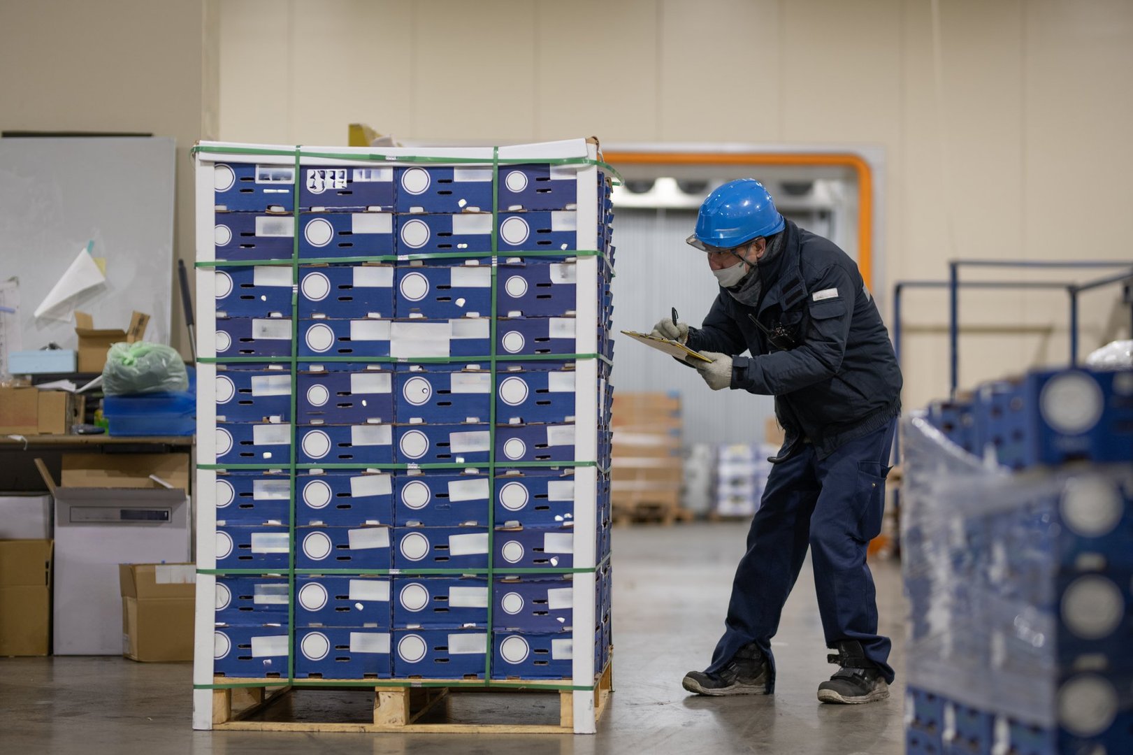 A man working in a refrigerated warehouse