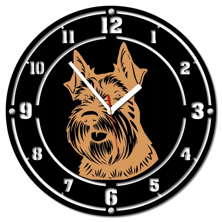 Zegar pies sznaucer rasowy