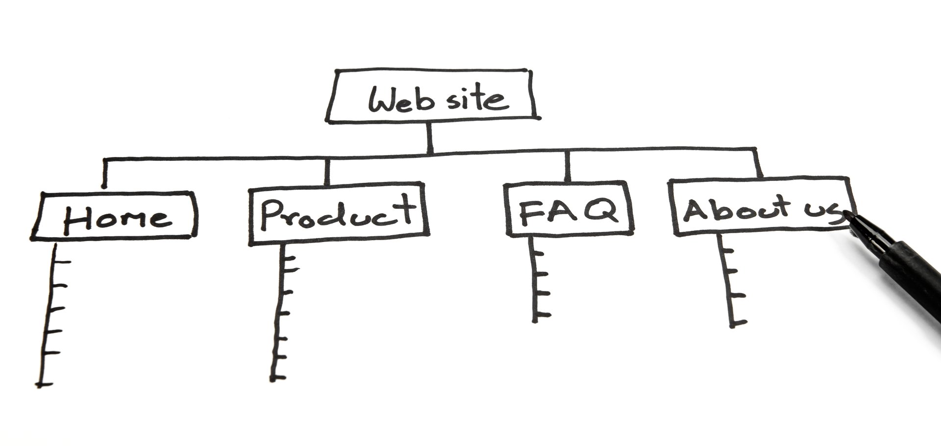 Web Site Chart