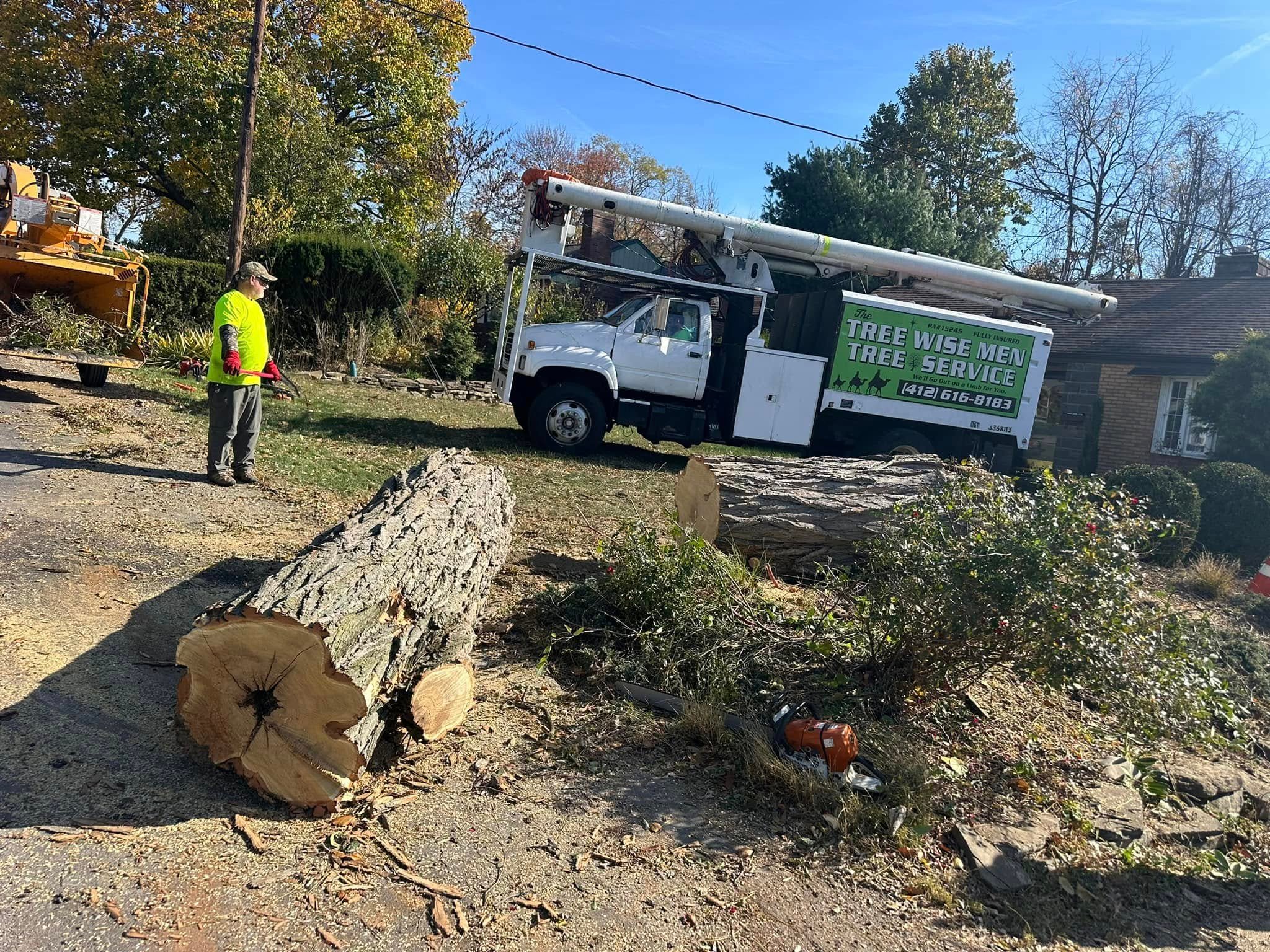Tree Wise Men tree service team
