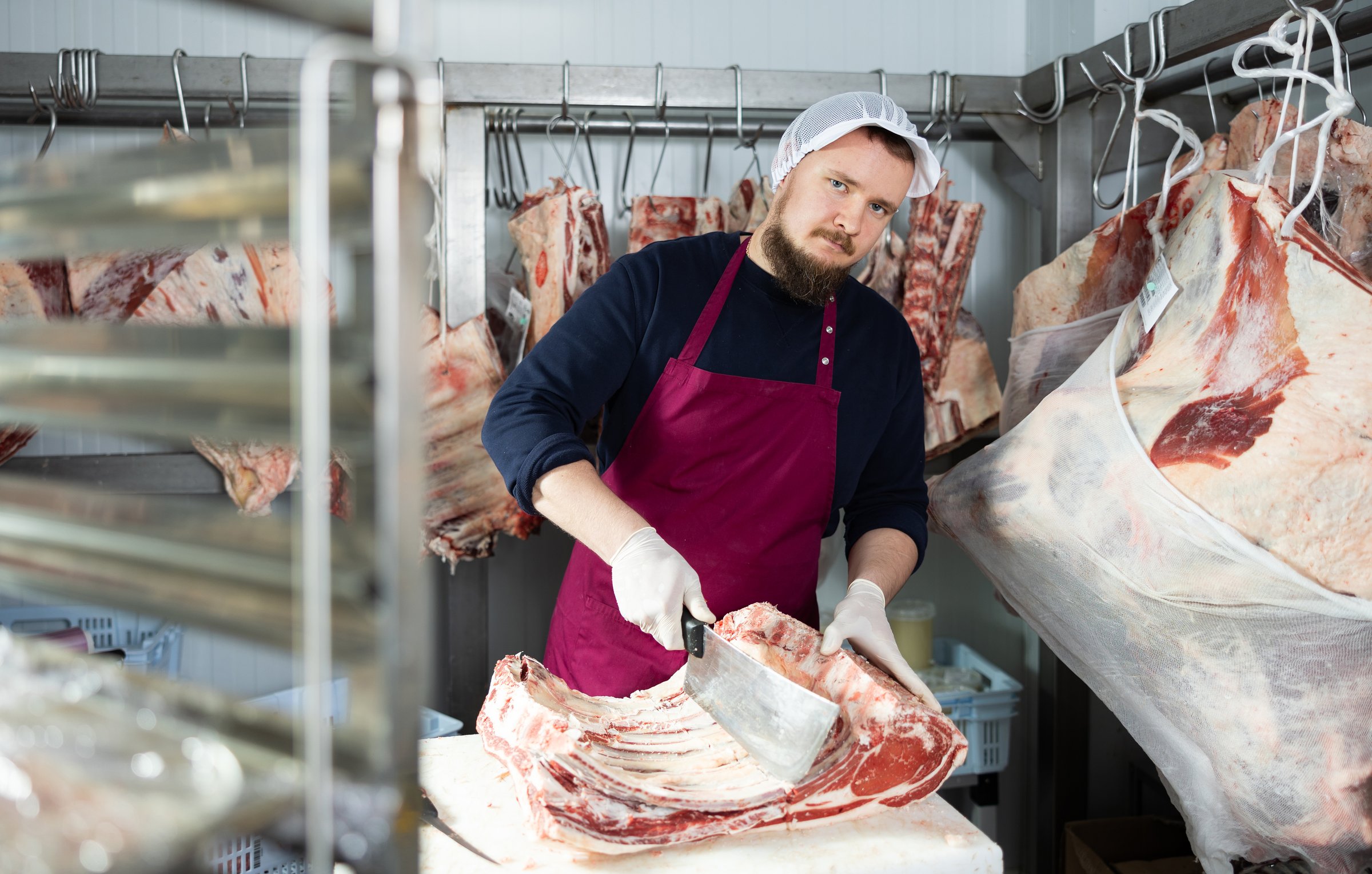 Focused young bearded butcher preparing meat for sale in store, using large cleaver to cut slab of beef ribs in cold storage room against background of pieces of meat hanging on hooks