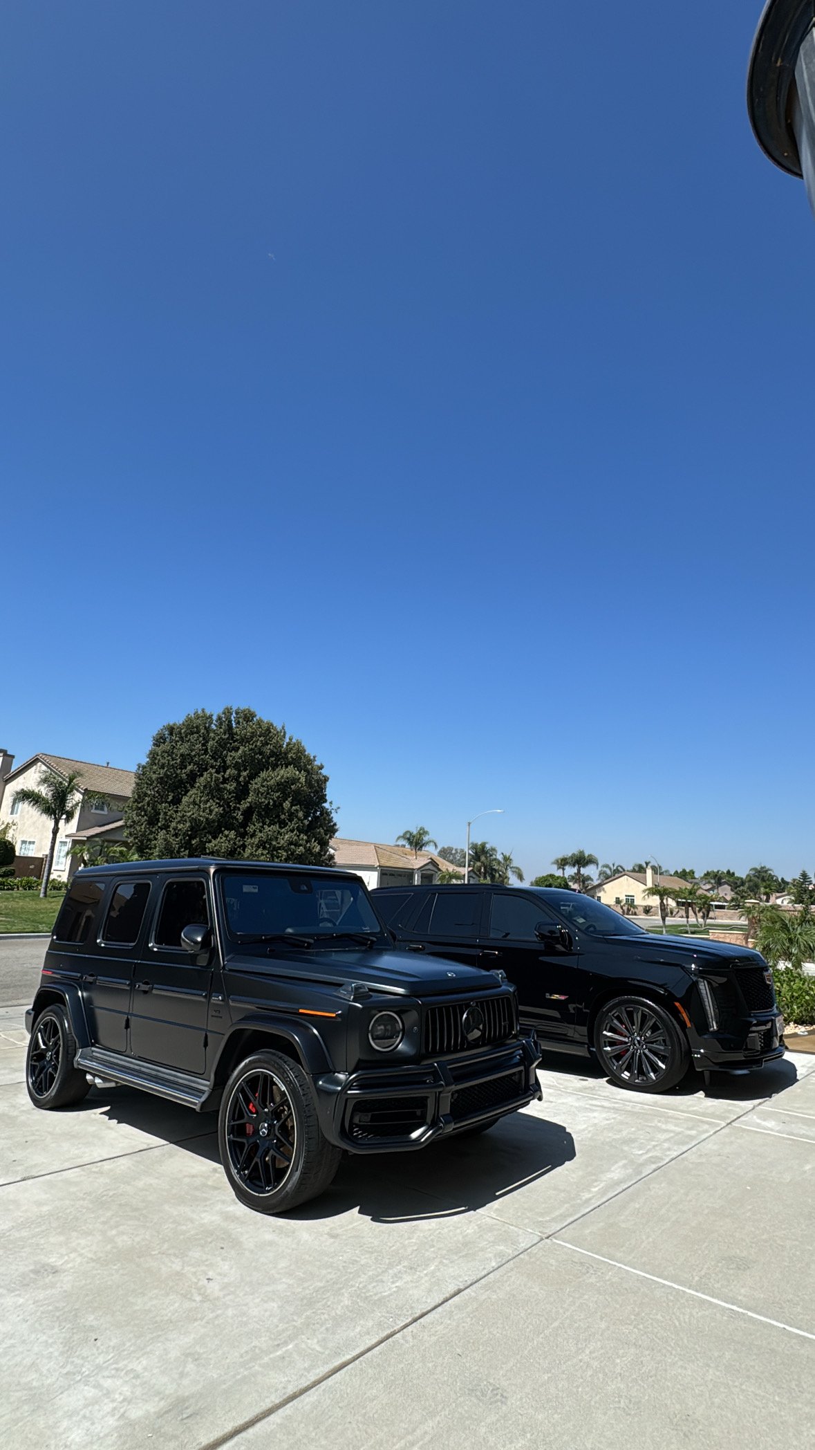 Mags Detailing professional car detailing showcase