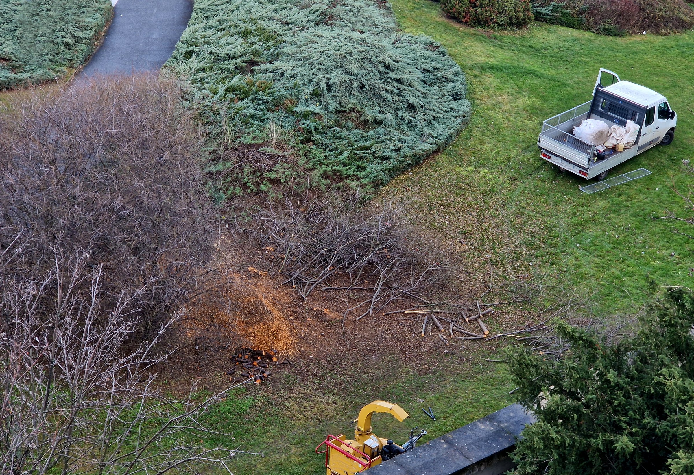 felling bushes and chipping branches under the guidance of electricity wires. transport to the compost yard.