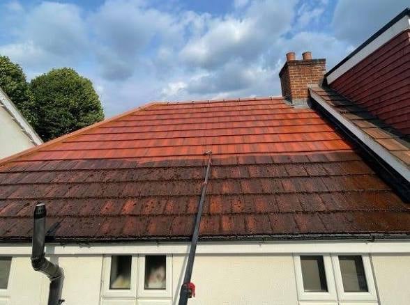 Roof cleaning service