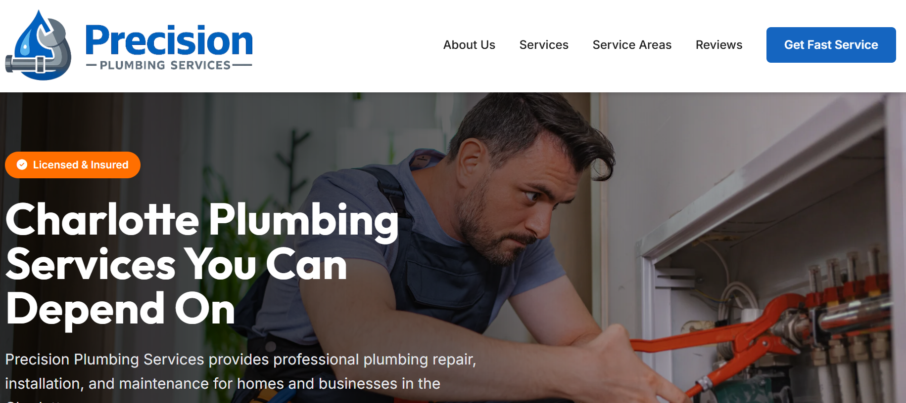 Precision Plumbing Services website demo
