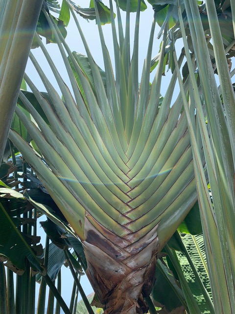 Casa Sam – Outdoor Space