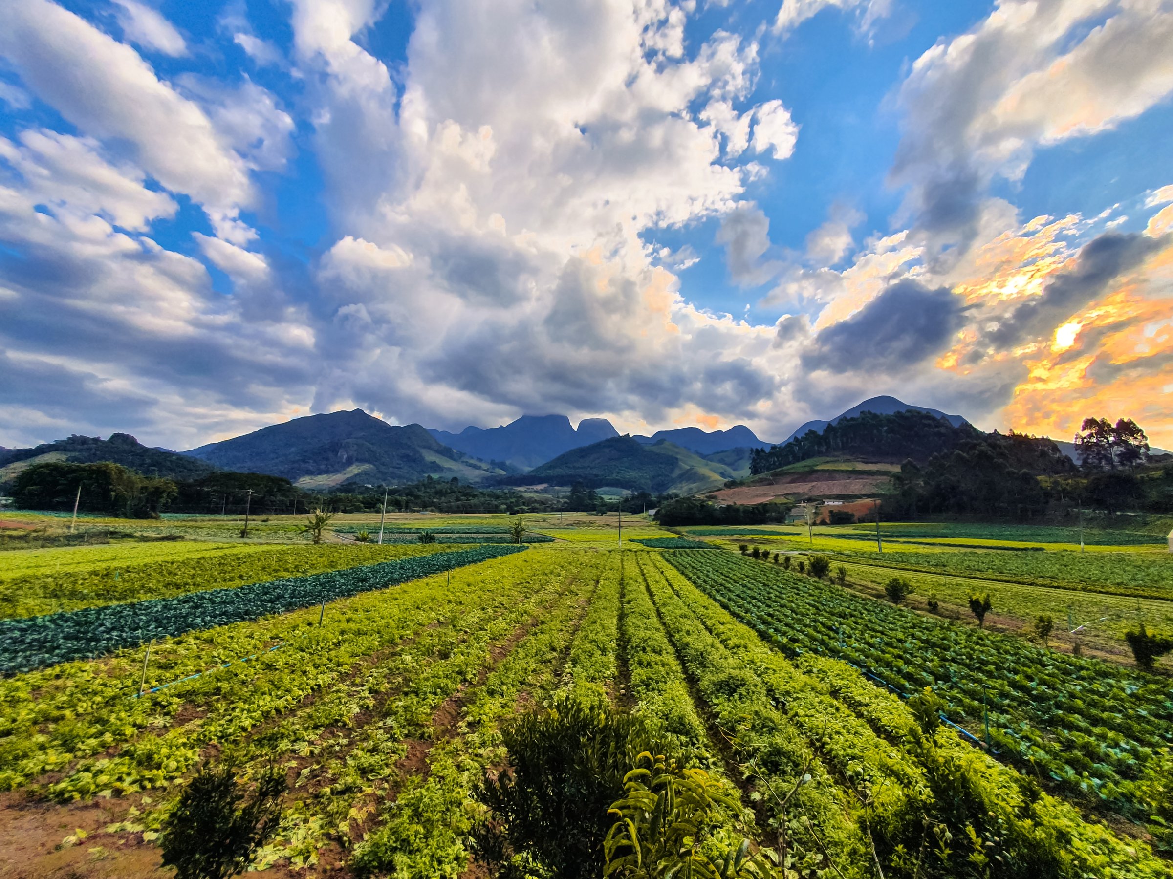 Plantation scene in the countryside with mountains  in the city of Nova Friburgo, Parque Estadual Três Picos, RJ , Brazil