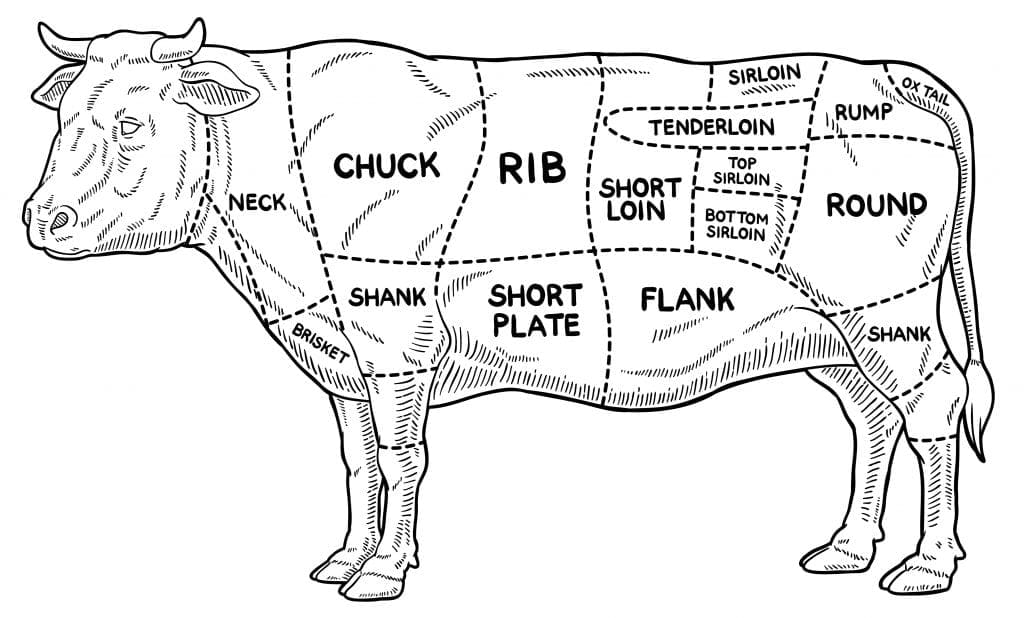 Beef primal cuts diagram showing all major cuts on cow outline