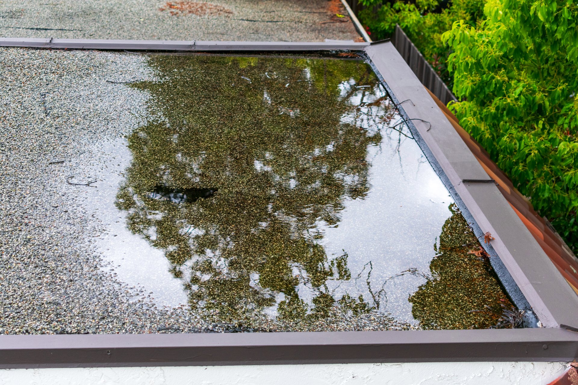 Standing water ponding on flat roof after rain showing water accumulation problem
