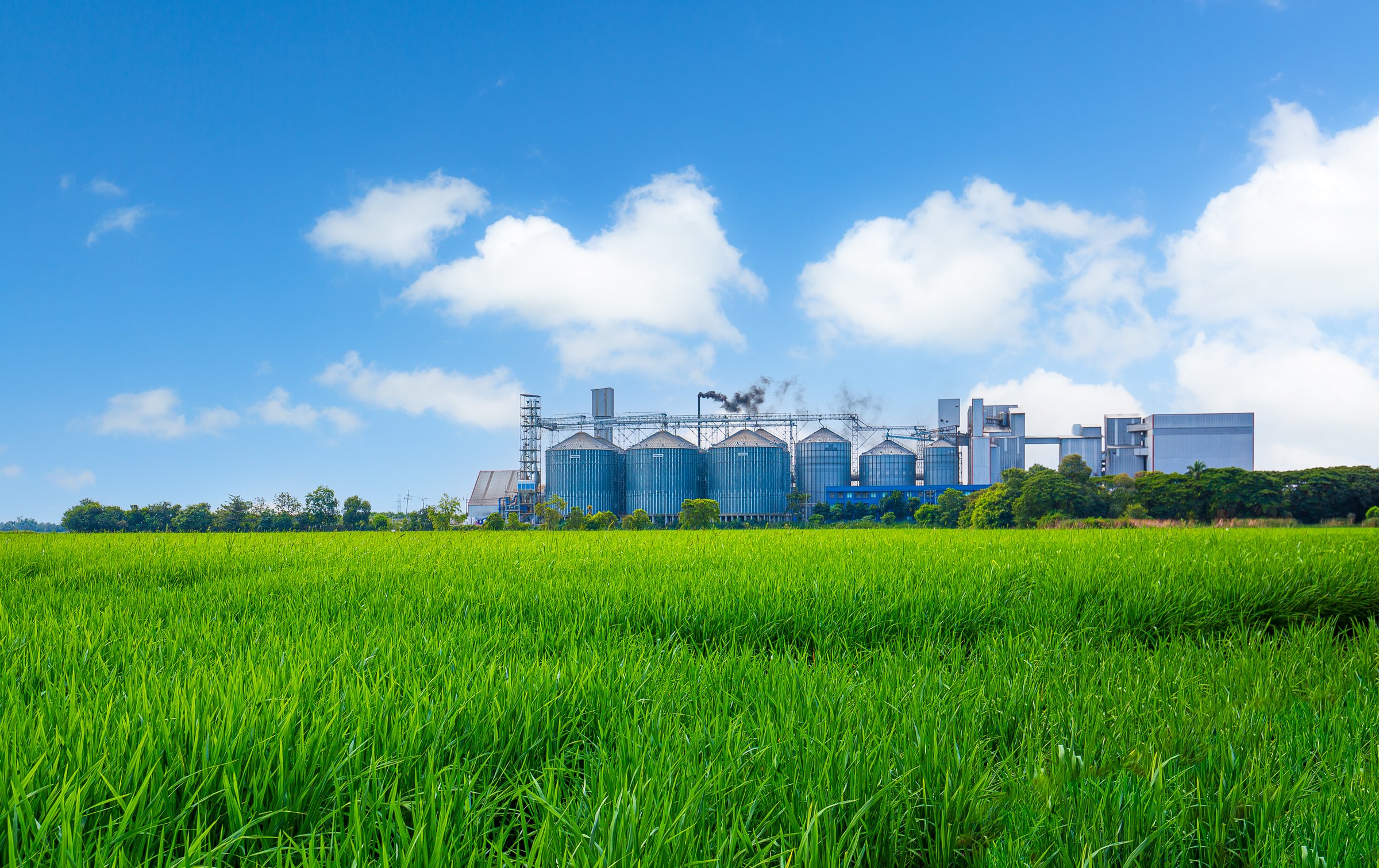 Industrial plants and green fields,Agricultural industry, modern factory on green area with steel elevator, industrial building and barn under blue sky.