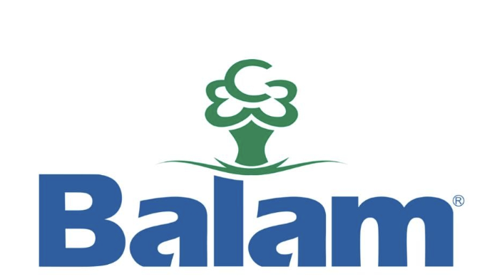 Centro Escolar Balam Logo