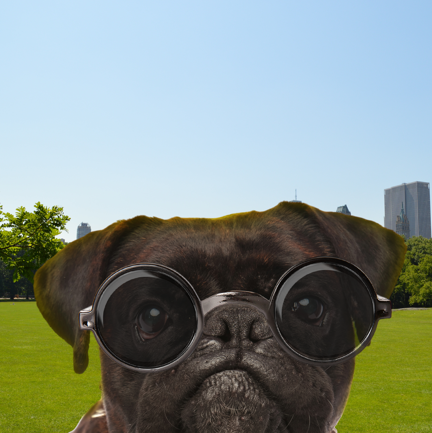 Descuento en Entrenamientos Adicionales